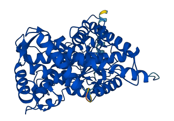 CYP2E1 3D structure