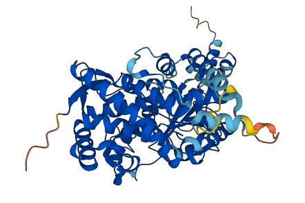 Cyp3a2 3D structure