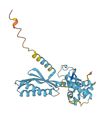 EIF2S1 3D structure