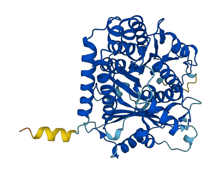 Tuba3a 3D structure
