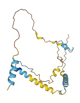 EDN1 3D structure