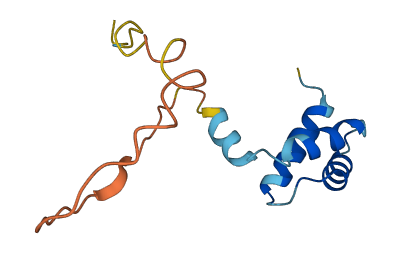 RPLP1 3D structure