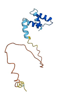 RPLP2 3D structure