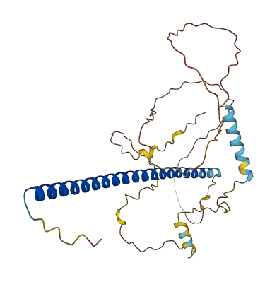 JUN 3D structure