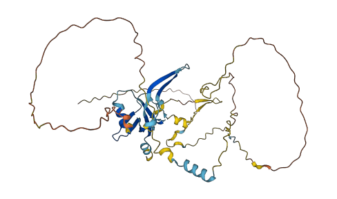 POLR3D 3D structure