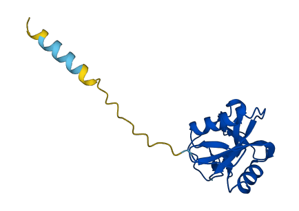 REG1A 3D structure