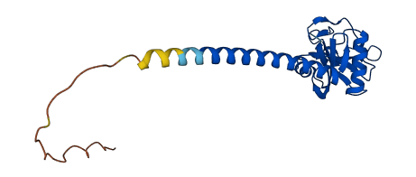 CLEC3B 3D structure