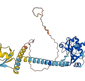 SSB 3D structure