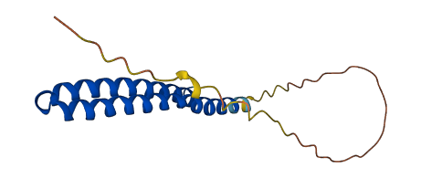 ATP5MC1 3D structure