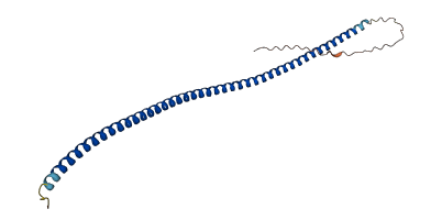 Xlr 3D structure