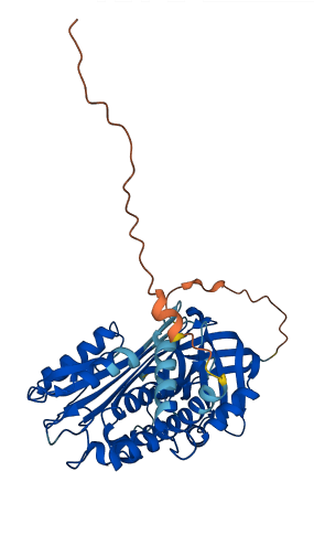 SERPINA7 3D structure