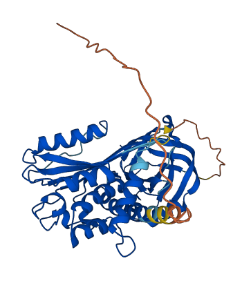 Serpina3l 3D structure
