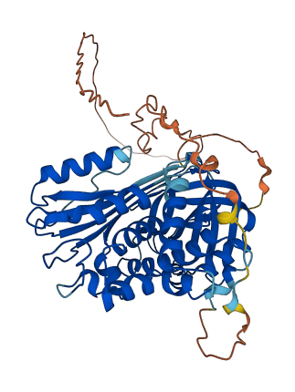 SERPIND1 3D structure