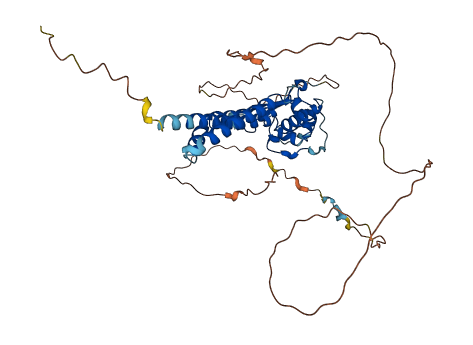 TFAP2A 3D structure
