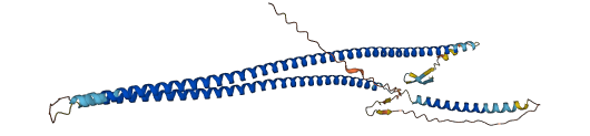 KRT18 3D structure