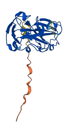 CRYBA1 3D structure