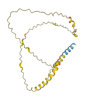 CSN2 3D structure