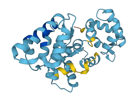 CALB1 3D structure