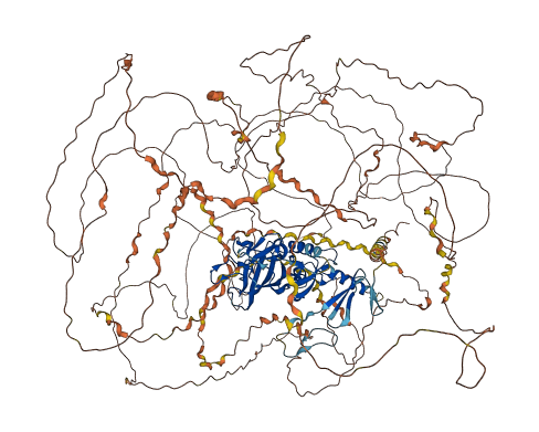 COL5A2 3D structure