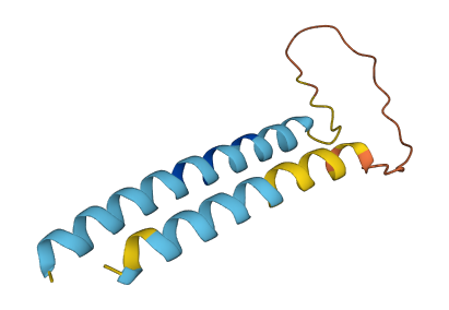 GYPB 3D structure