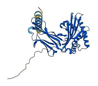 CD1A 3D structure
