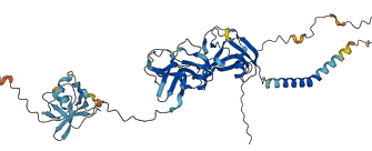 CD5 3D structure