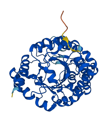 UROD 3D structure