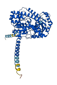UGT2B4 3D structure