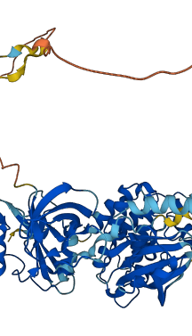 LCK 3D structure