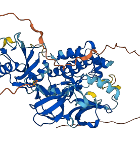 FYN 3D structure