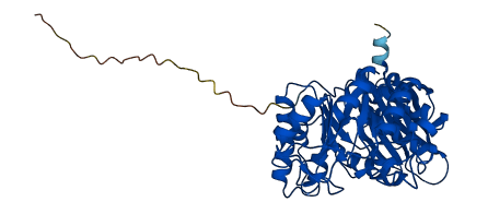 GLA 3D structure