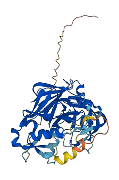 Ren1 3D structure