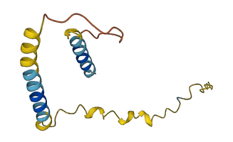 CCK 3D structure