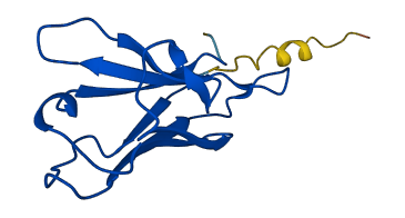 IGKV2-30 3D structure