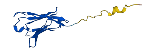 Gm5629 3D structure