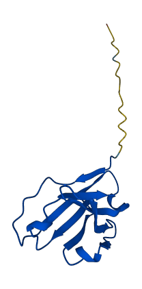 Ighv1-72 3D structure