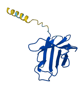 IGHV4-34 3D structure