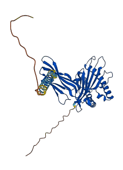 H2-T23 3D structure