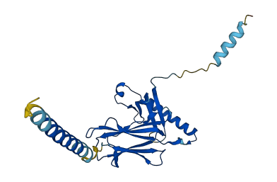HLA-DOA 3D structure