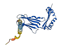RT1-B 3D structure