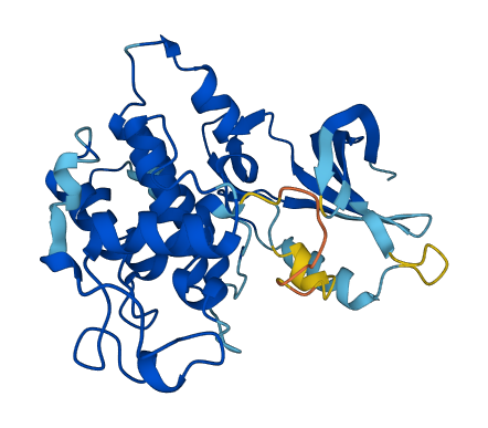 CDK1 3D structure