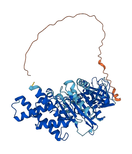 ATP5F1B 3D structure