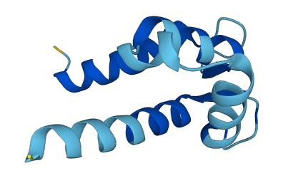 S100A6 3D structure