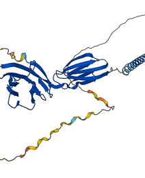 CD2 3D structure