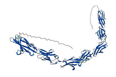 CEACAM5 3D structure