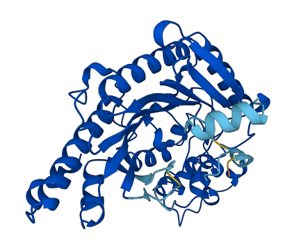 CKM 3D structure