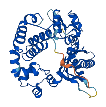 POLB 3D structure