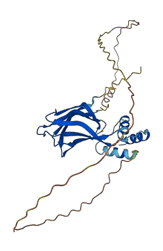 NPM1 3D structure