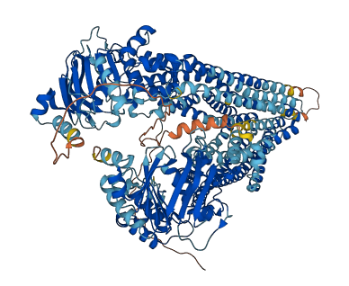 Abcb1b 3D structure