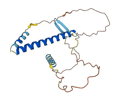 CRH 3D structure